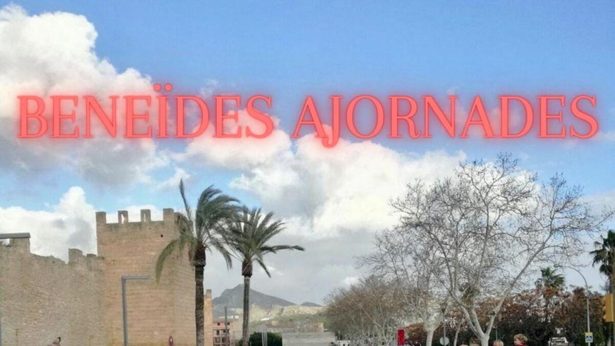 Anuncio difundido por el ayuntamiento de Alcúdia en las redes sociales.