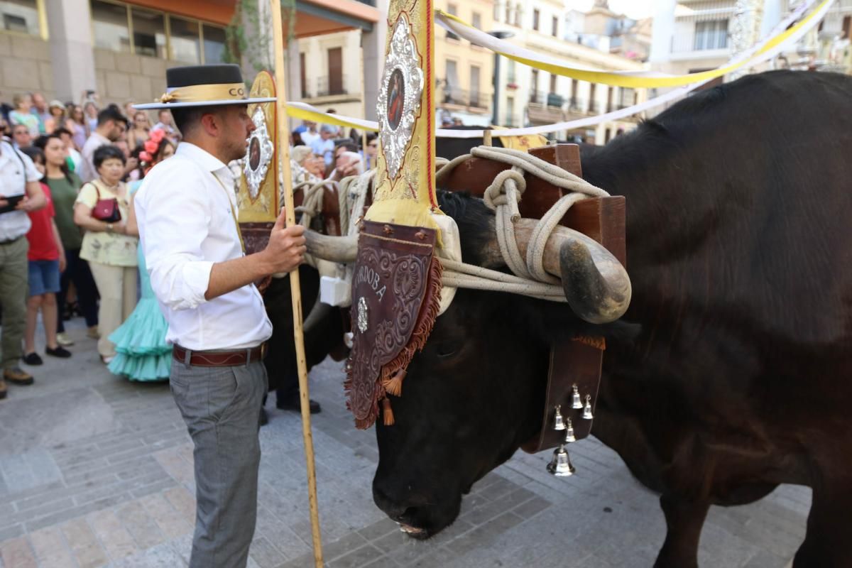 Fotogalería / Los romeros de Córdoba parten hacía el Rocío