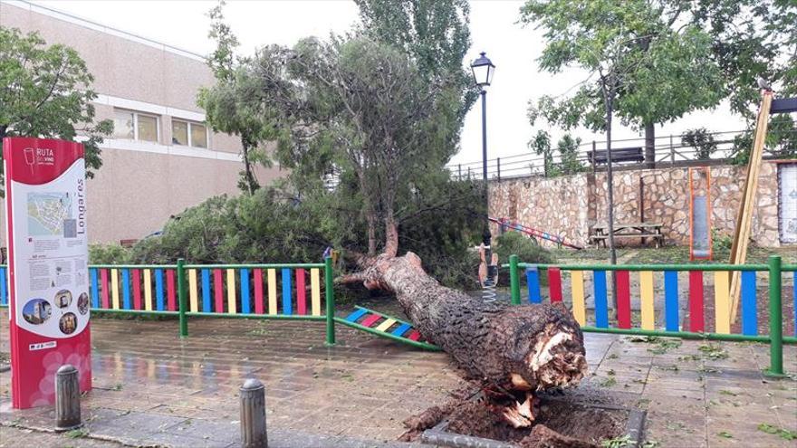 Una fuerte tormenta provoca importantes daños en Longares