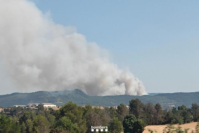 L'incendi de Carme, en imatges