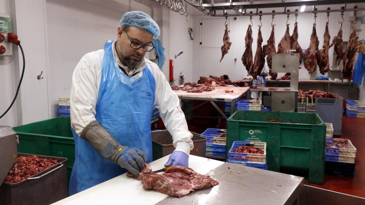 Un treballador de Lantxaga especejant carn de senglar a l'interior de la nau de l'empresa.
