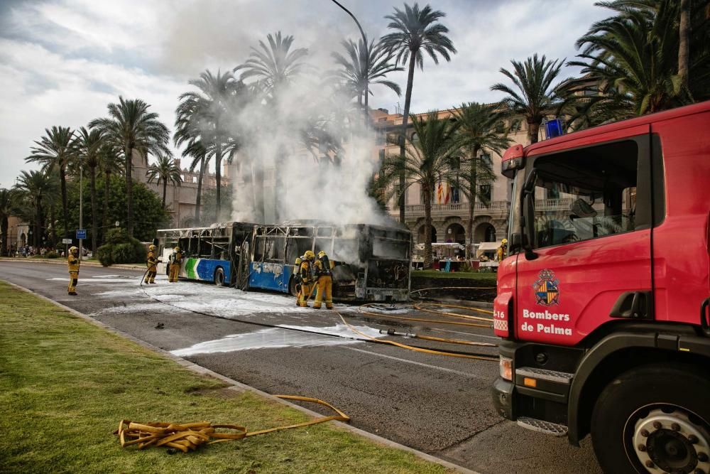 Se incendia un autobús de la EMT en pleno Paseo Sagrera de Palma