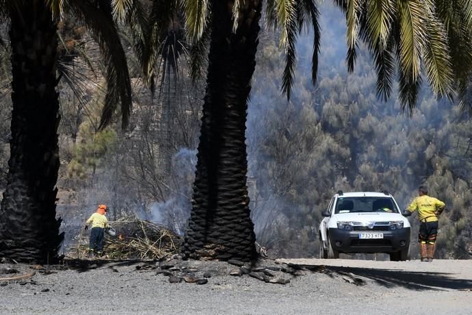 18/03/2019 FATAGA. SAN BARTOLOME DE TIRAJANA.  Incendio en Fataga, en la Finca Rural, Molino de Agua. Fotografa: YAIZA SOCORRO.  | 18/03/2019 | Fotógrafo: Yaiza Socorro