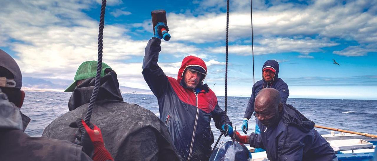 Salvador Cruz, pescador del ‘Nuevo Olimar ‘(Arguineguin) sacrifica un atún de unos 100 kilos capturado por Agustín Miranda, segundo de abordo del pesquero (al fondo).