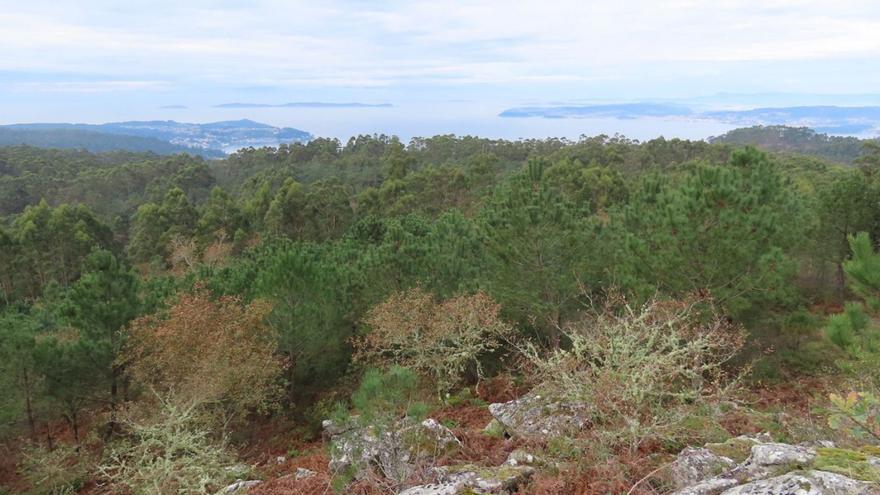 Panorámica de la ría de Pontevedra desde el alto de Agudelo, en Ardán (Marín). |