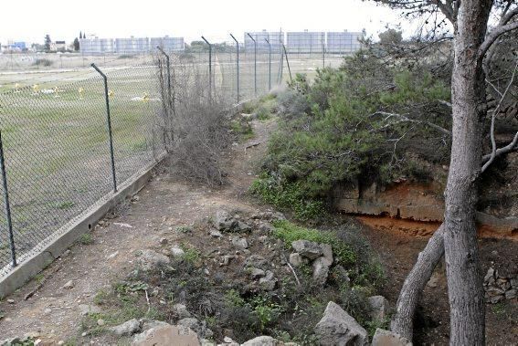 In Es Carnatge, dem letzten unverbauten Küstenabschnitt Palmas, aasten einst die Geier. Nun soll hier ein Park entstehen.