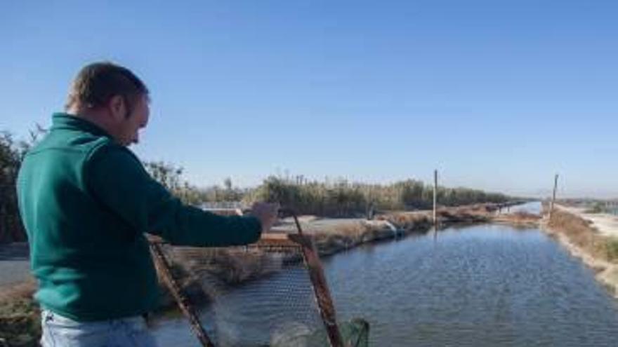 El Pantanet de Santa Fe, en las Salinas de Santa Pola.