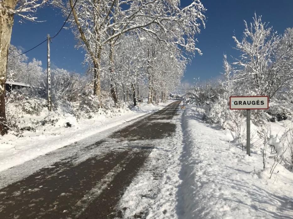 Paisatge matinal nevat a la Catalunya Central