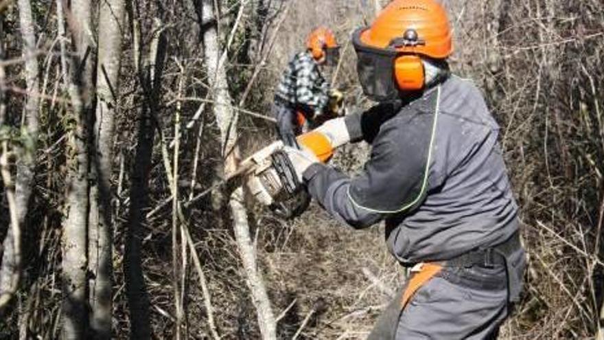 Primers treballs de neteja de camins del pla que s&#039;ha posat en marxa aquests dies