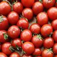 ¿Por qué el tomate ha perdido el sabor a tomate?