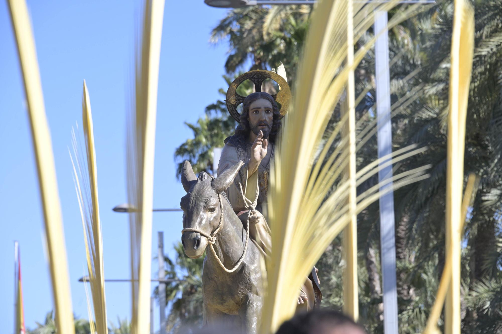 Domingo de Ramos en Elche