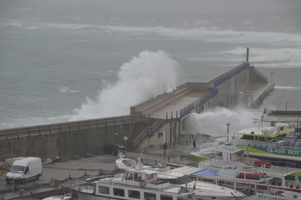 Los estragos del temporal en Mallorca