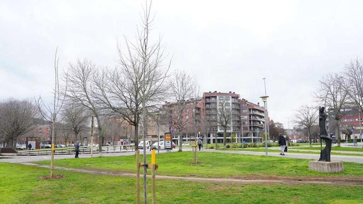 Arbres plantats al costat de la rotonda dels Països Catalans, en una imatge d'arxiu.
