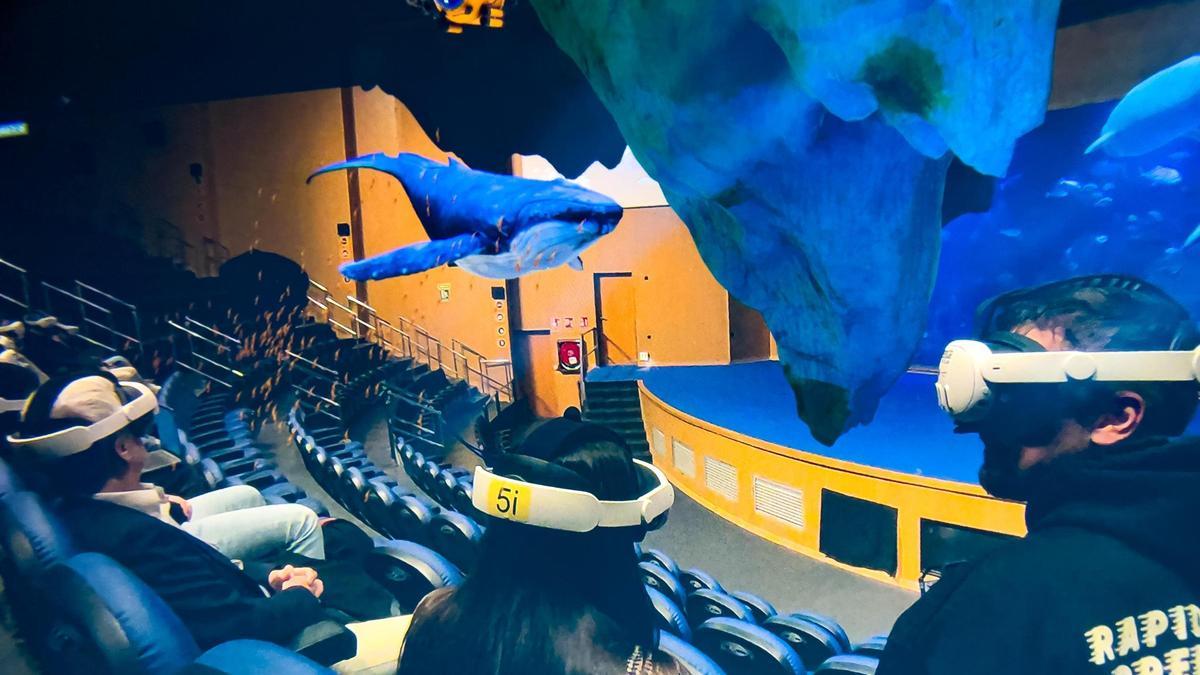 L’experiència ‘Inmersión’ desenrotllada per a l’Auditori Mar Roig de l’Oceanogràfic