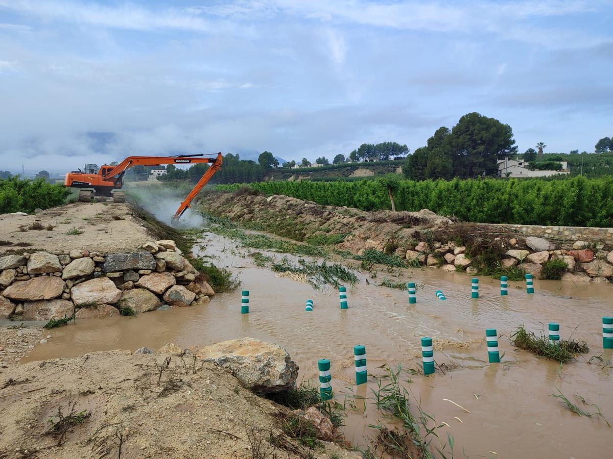 Labores de limpieza en la cabecera del río