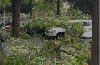 Una intensa tormenta barre Mallorca y provoca numerosos incidentes