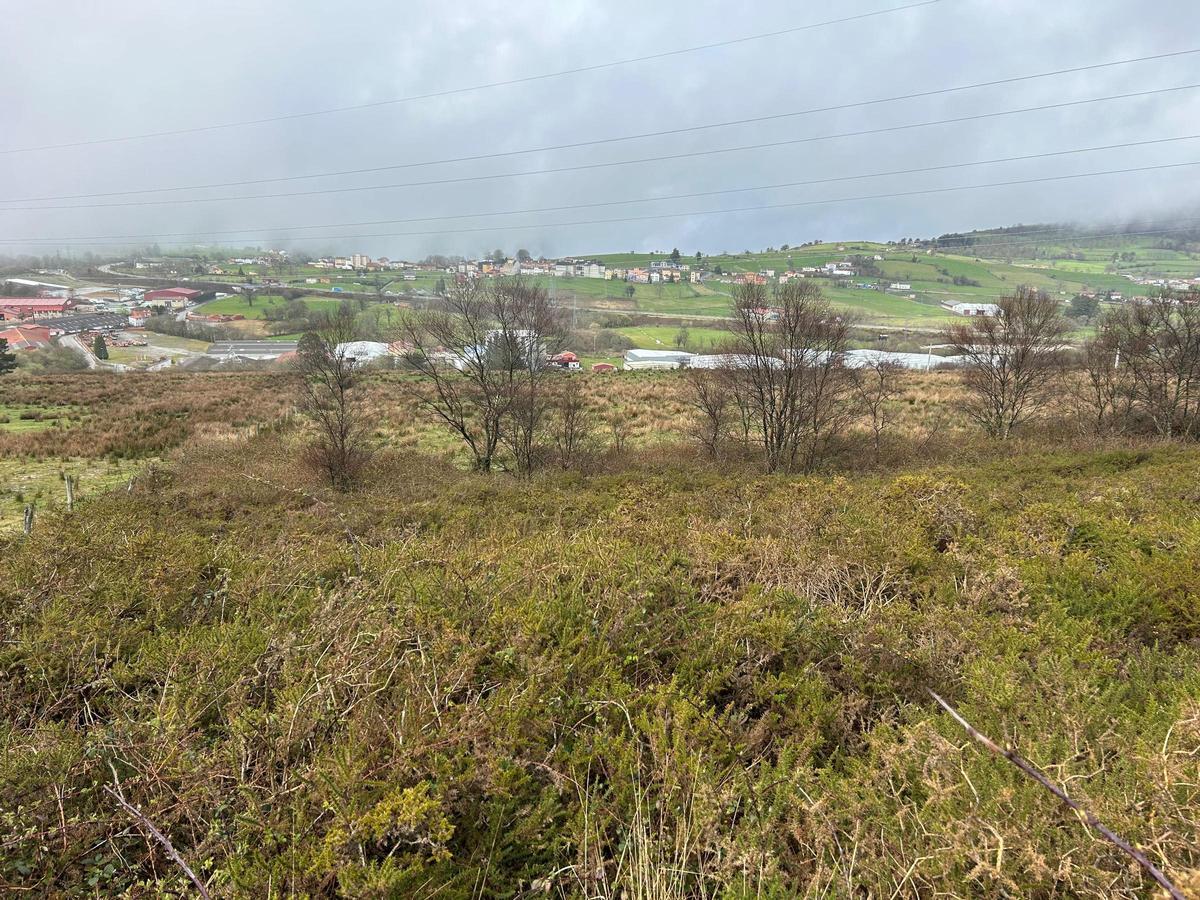Terrenos ubicados junto al polígono de Zarrín, en La Espina, que podrían reconvertirse en suelo de explotación minera.