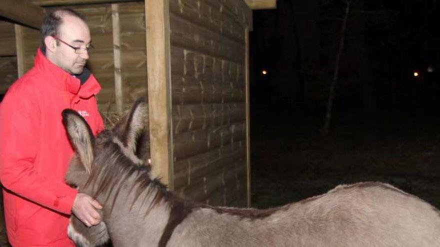 Francisco Meis, con uno de los burros de la isla de A Toxa. // Muñiz