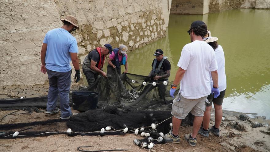 Medida para evitar su muerte: retiran los peces del pantano de Ulldecona al tener solo un 1% de agua