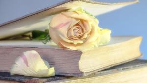 Día de rosas y libros, también en Madrid.