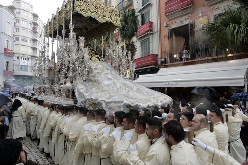 Domingo de Ramos de 2016 | Lágrimas y Favores