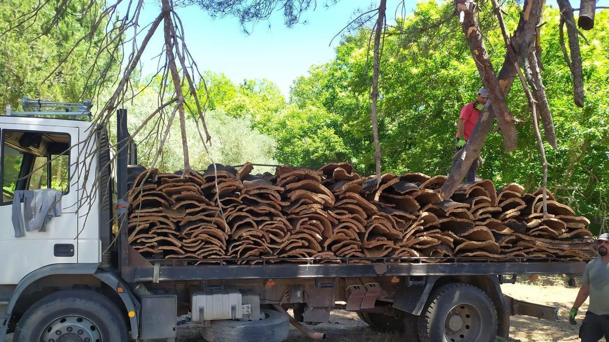 Carga del corcho recién sacado en una finca de Villaviciosa, en una imagen de archivo.