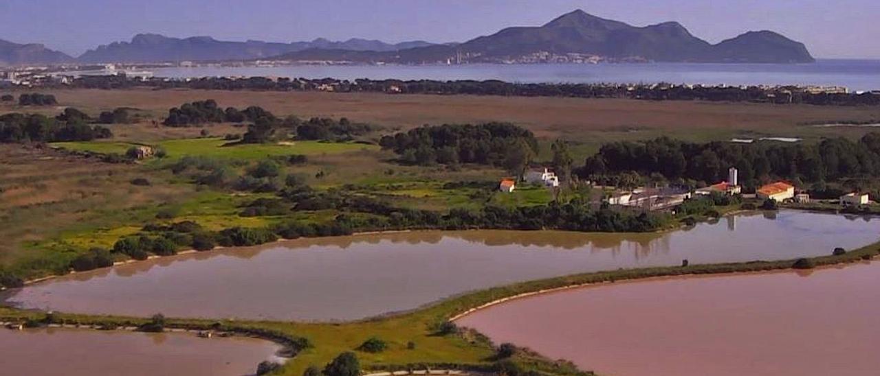 Imagen de las balsas de la actual depuradora que comparten la playa de Muro y Can Picafort.