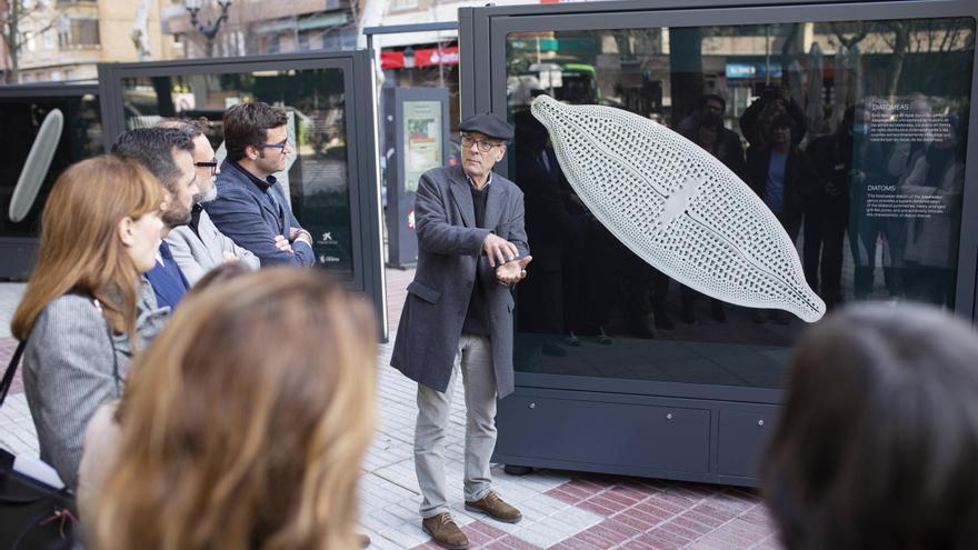 Galería | Así fue la inauguración de la exposición &#039;Nanocosmos&#039; en Cáceres