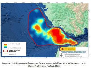 Piden "extremar las precauciones" en el Estrecho por la presencia de orcas