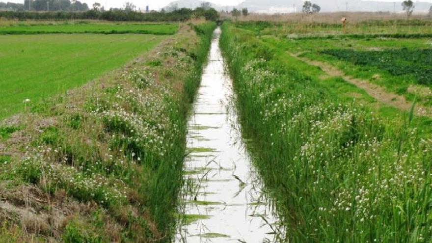 La zona de Carrizales.