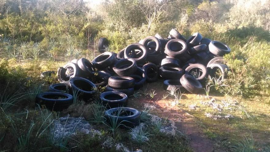 Los neumáticos han sido depositados en plena área forestal de la Comuna de Lloret.