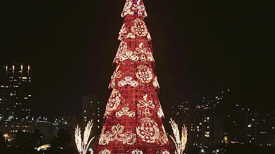 Imagen del árbol flotante brasileño. // Efe