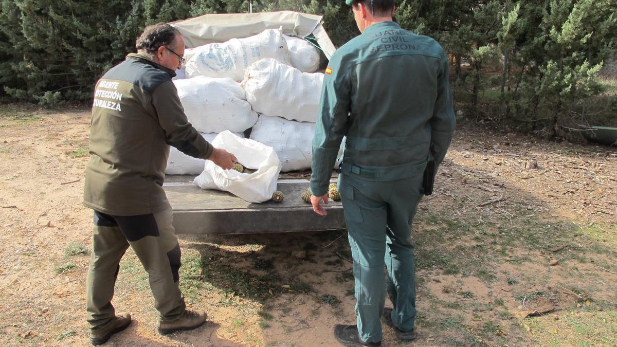 La Guardia Civil sorprendió a cinco personas con 500 kilos de piña