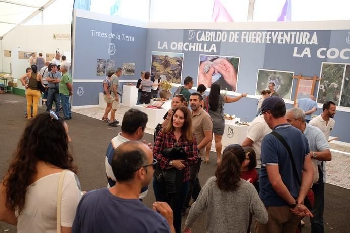 Feria Insular de Artesanía en Antigua