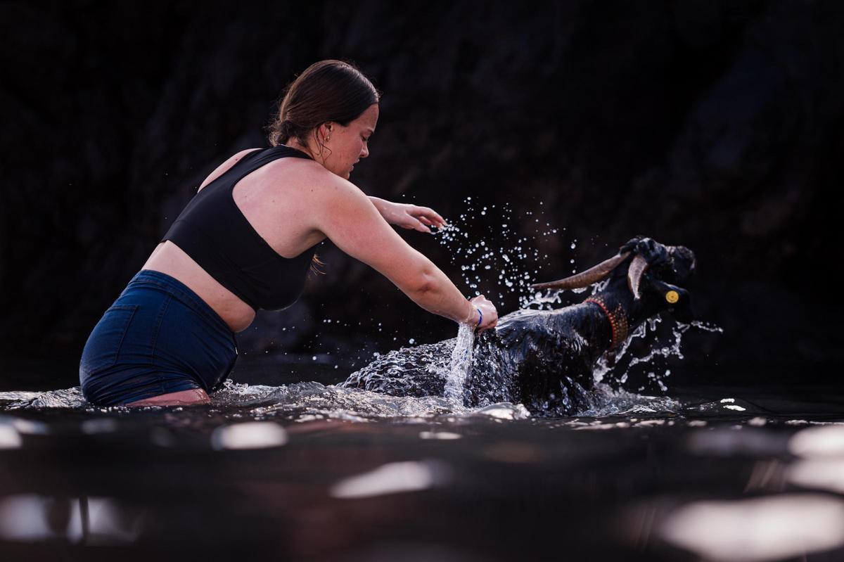 The San Juan Festivities in Puerto de la Cruz: A Guide to Experience the Fireworks, Bonfires, and Goat Swimming Without Missing a Thing The San Juan Festivities in Puerto de la Cruz: A Guide to Experience the Fireworks, Bonfires, and Goat Swimming Without Missing a Thing