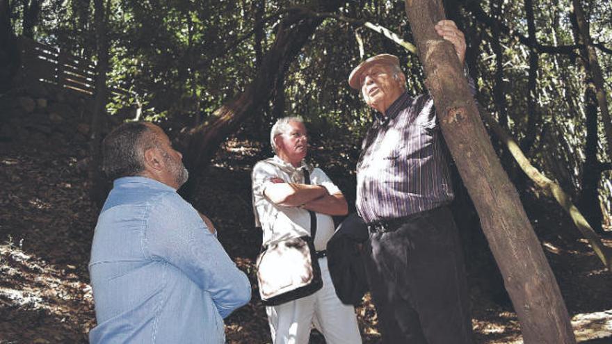 Escolástico Gil (i) y Wolfredo Wildpret (d), en el Bosque del Adelantado junto al también botánico Richard Pott .