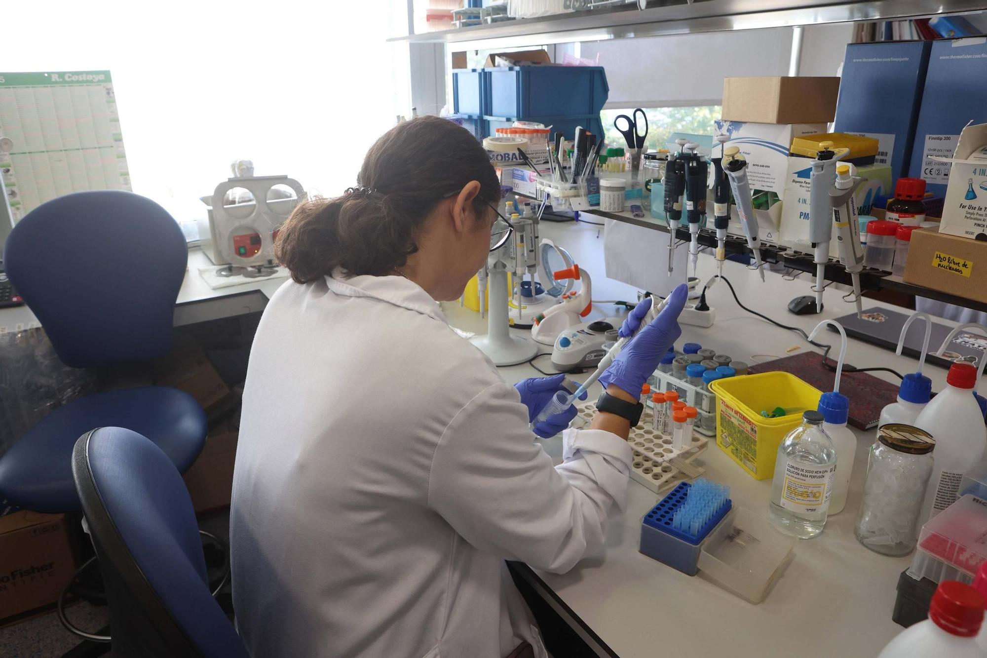 El conselleiro de Sanidade visita el Instituto de Investigación Biomédica de A Coruña