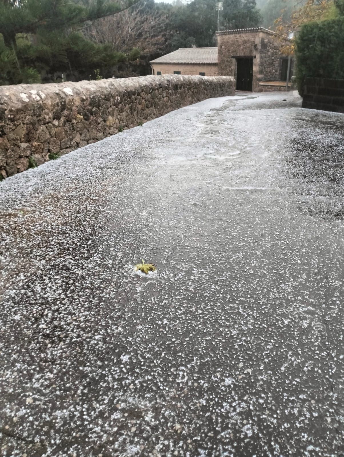 Estas son las imágenes que nos deja el temporal