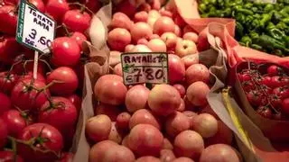 Warum die traditionelle Mallorca-Tomate "Ramellet" bald als exotisch gelten könnte