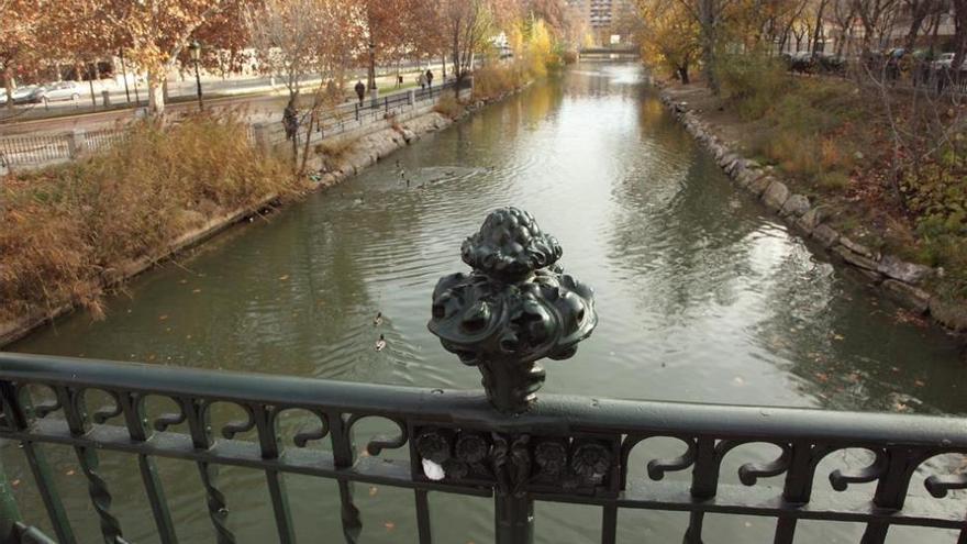 Los Bomberos retirarán este viernes un árbol caído en el Canal Imperial que obligará a cortar el tráfico