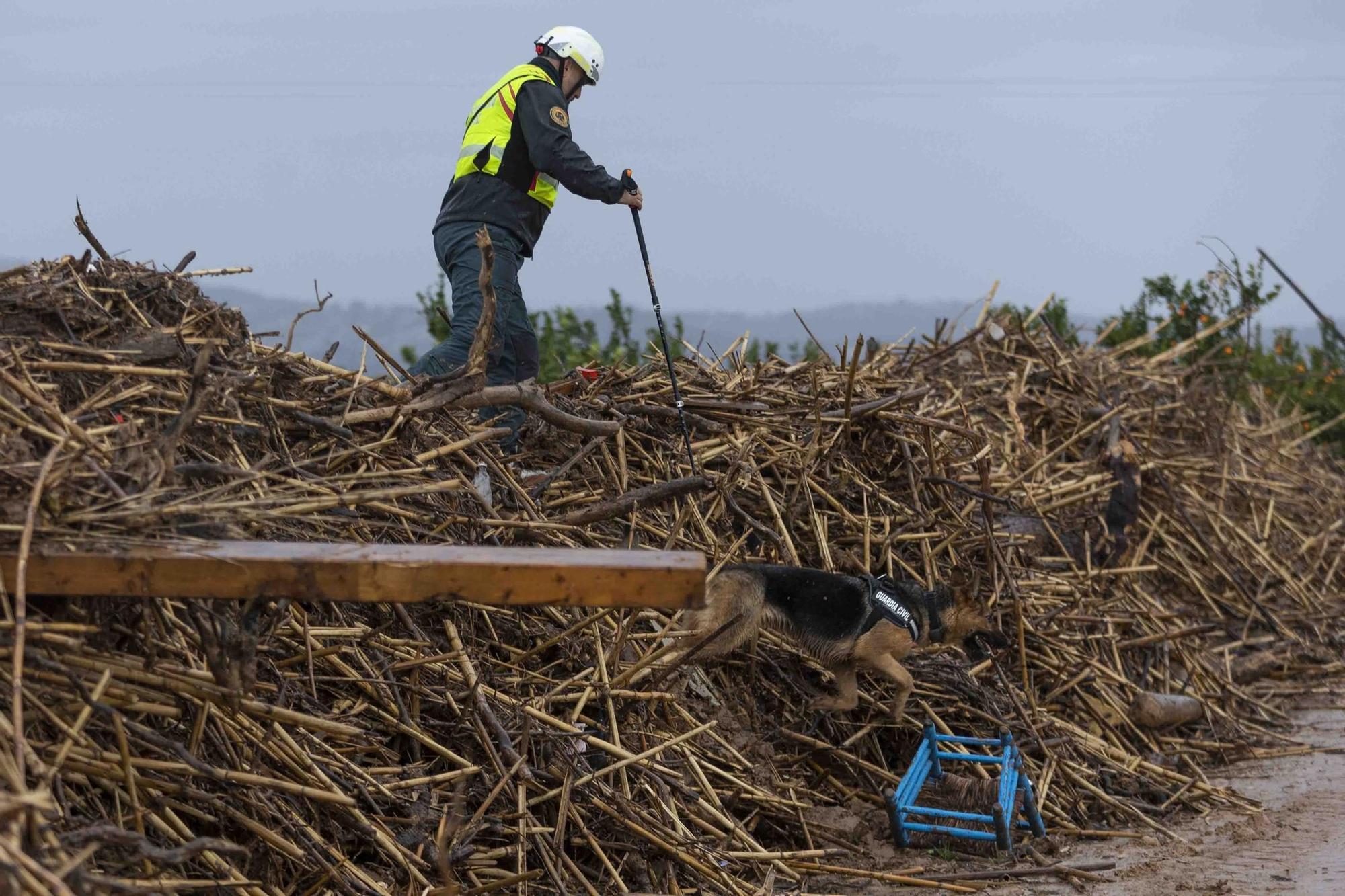 La UME continua la busqueda de desaparecidos