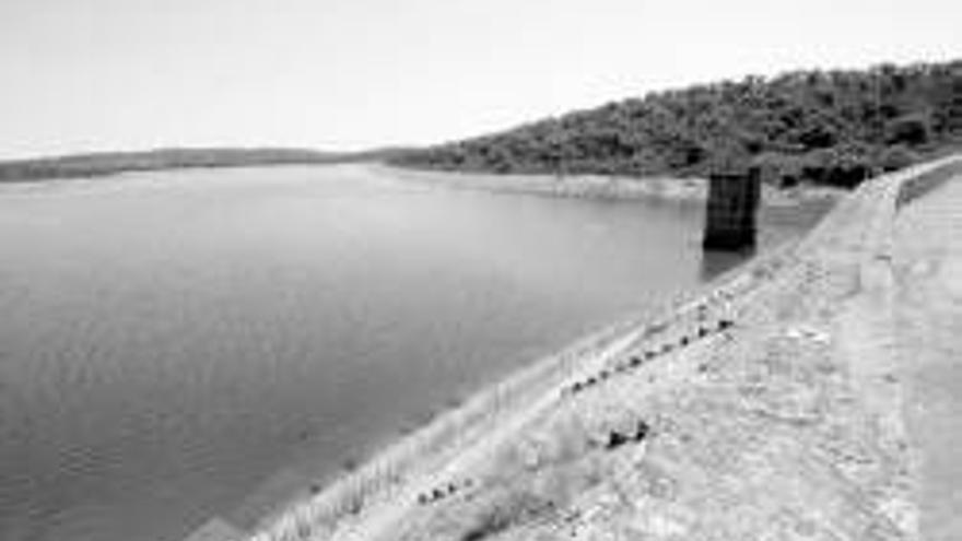 Unos 700 árboles de Cornalvo podrían quedar bajo las aguas