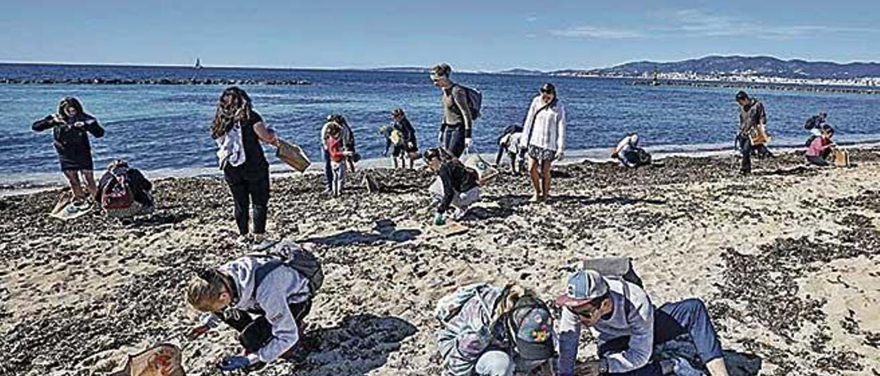 Voluntarios recogen plásticos de una playa.