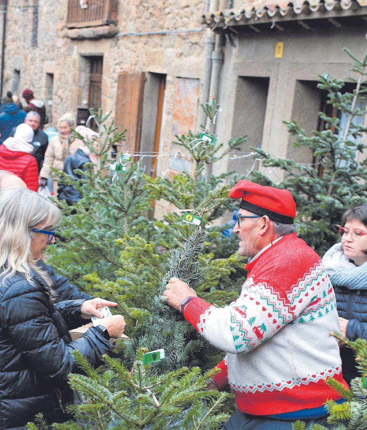 En la Fira de l’Avet de Espinelves, el árbol de Navidad es el rey, los venden y exponen de todos los tamaños posibles.