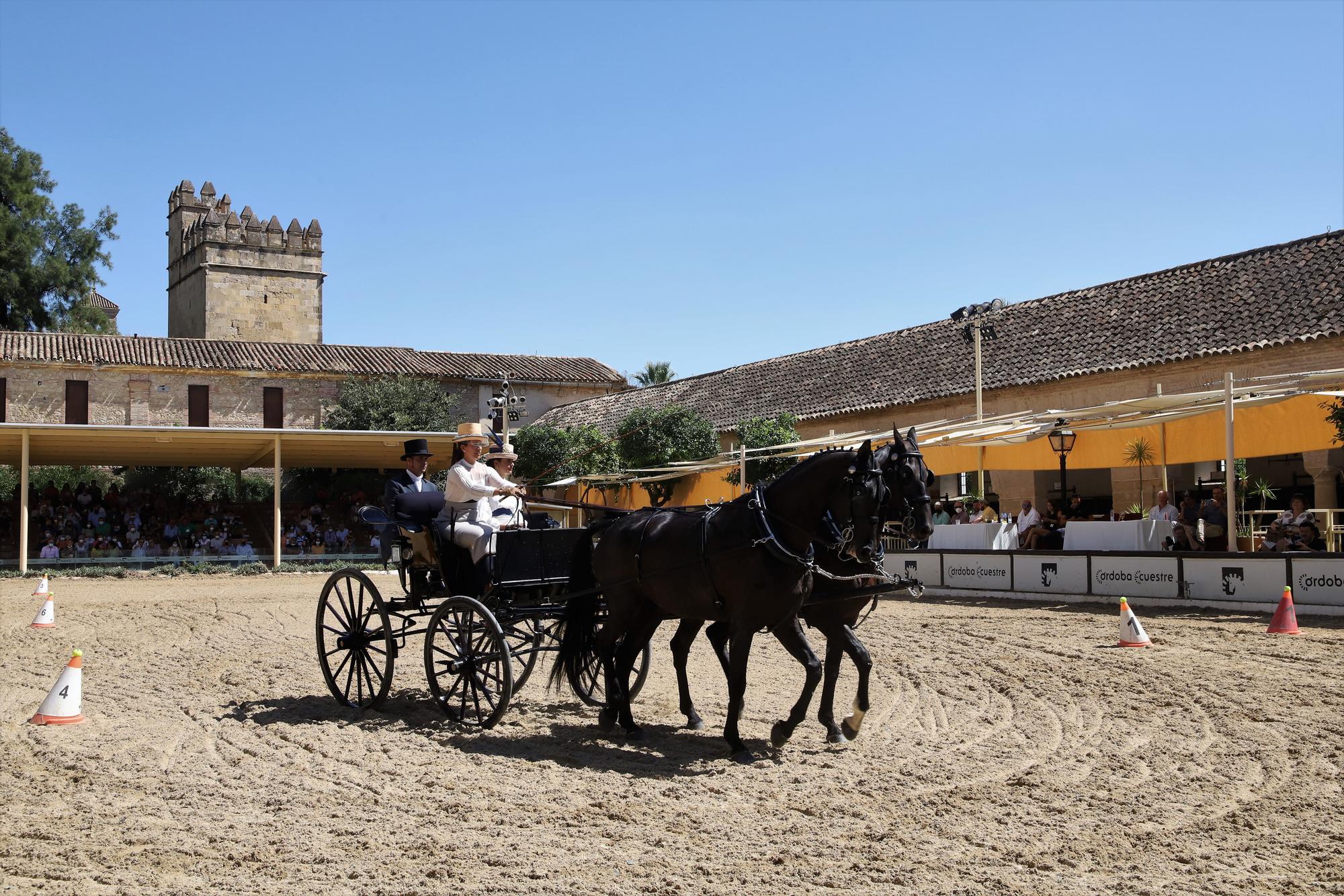 El atalaje de tradición regresa a España