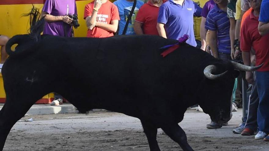 PSPV, Compromís y EU rechazarán la ley que blinda los ‘bous al carrer’