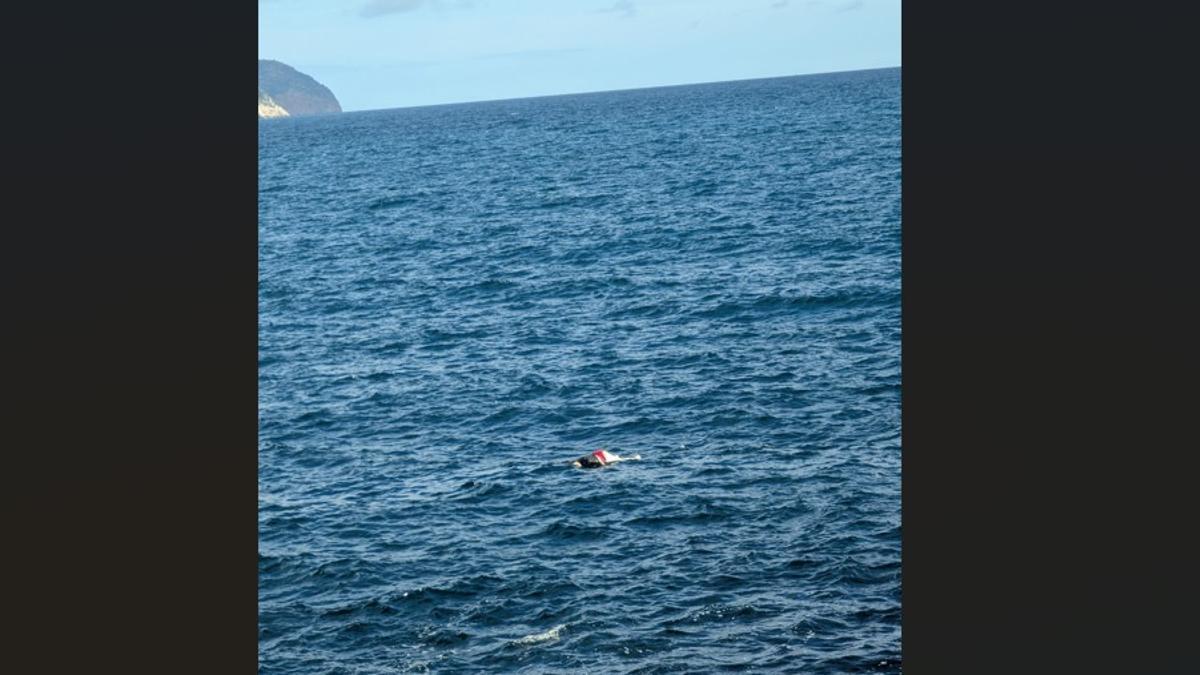 So fand die MZ-Leserin den leblosen Körper am Montagmorgen (29.12.) im Wasser vor.