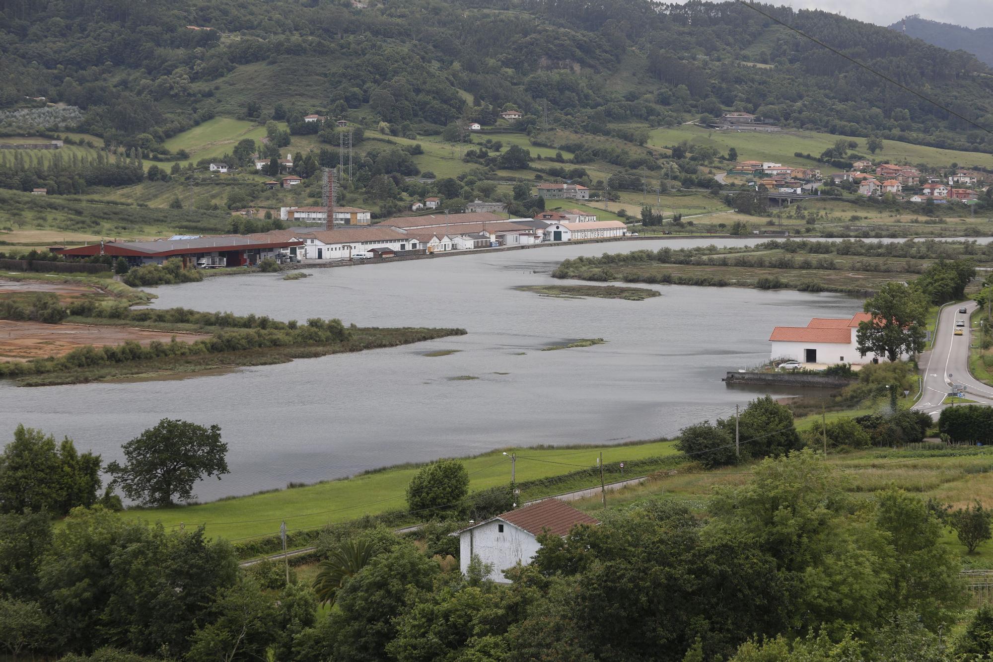 La ría de Villaviciosa se malbarata: la ruina de un entorno privilegiado asturiano
