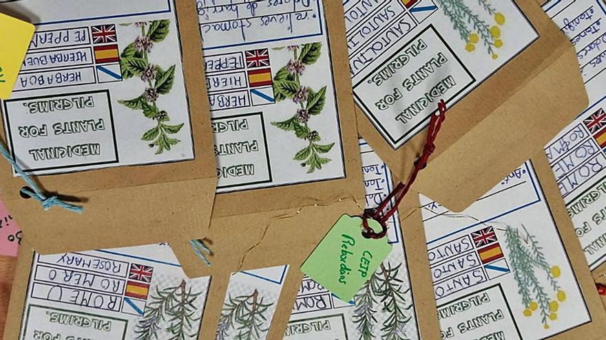 Algunos de los sobres, con la información sobre las plantas escritas en gallego, español e inglés.