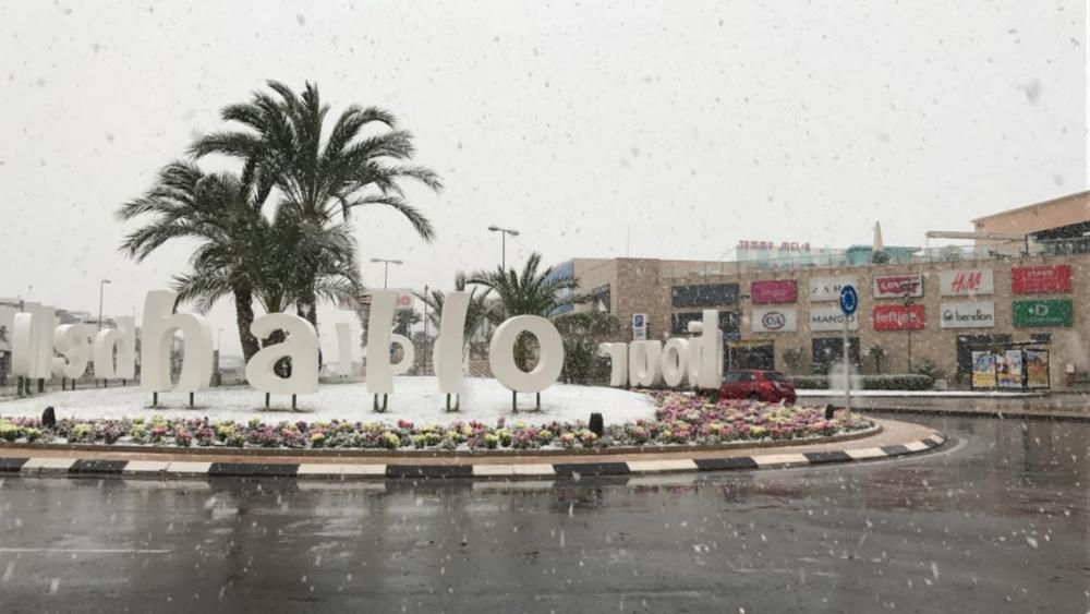 Una fina capa de nieve ha cubierto las playas, los techos de los vehículos, zonas verdes y tejados de Torrevieja, Orihuela Costa y Pilar de la Horadada